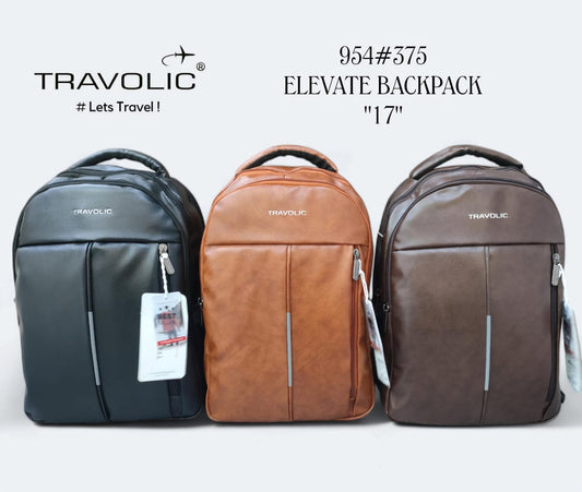 BACKPACK 954